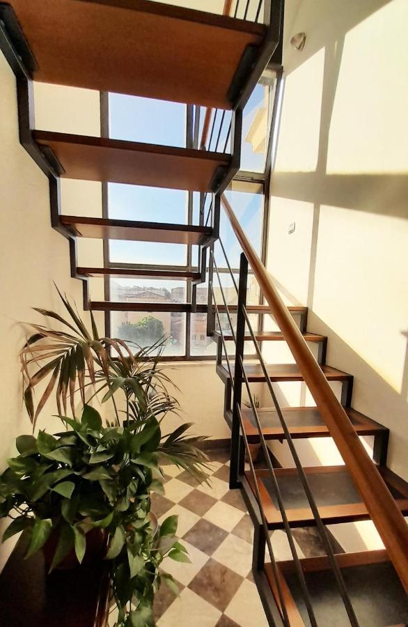 Terrace With View Attic In Old Town Ballarhome 팔레르모 외부 사진